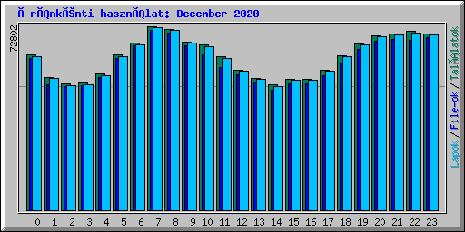 Óránkénti használat: December 2020