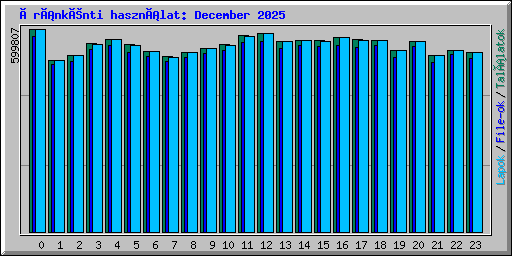 Óránkénti használat: December 2025