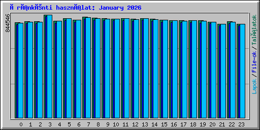 Óránkénti használat: January 2026